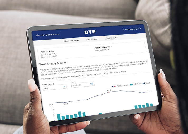 DTE energy usage data graph