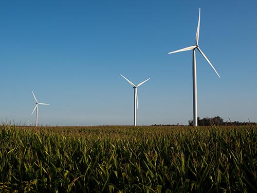 DTE Energy's Pinnebog Wind Farm


