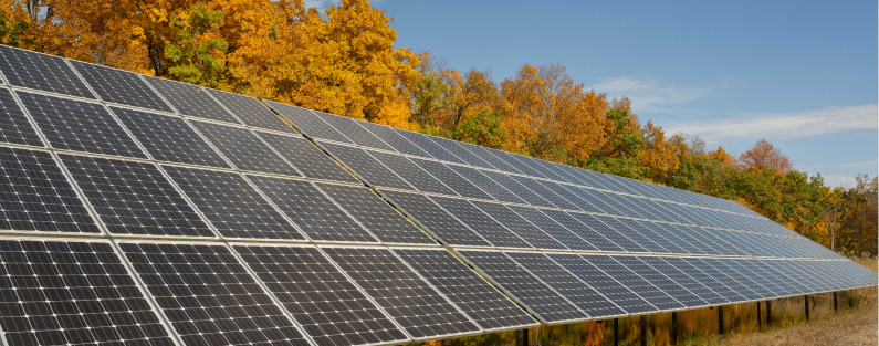 Solar array in field with autumn foilage behind it