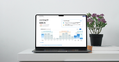 Image of bill analyzer on a laptop computer