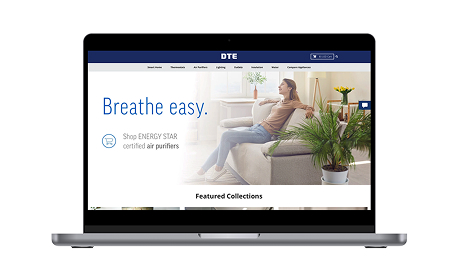 DTE Marketplace on computer screenshot