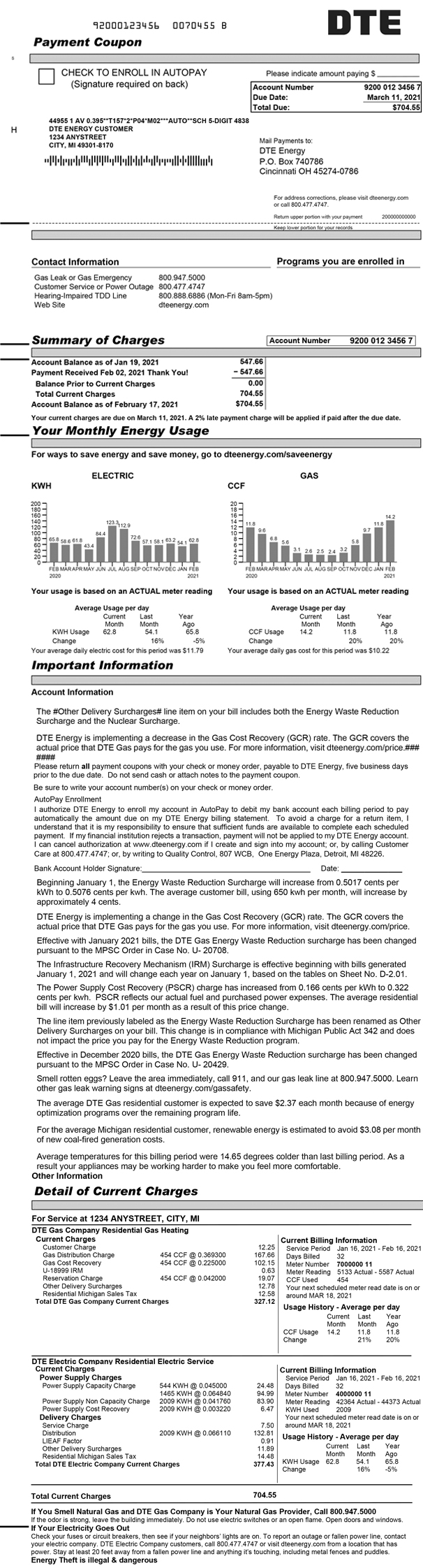 Electric and Natural Gas Bill